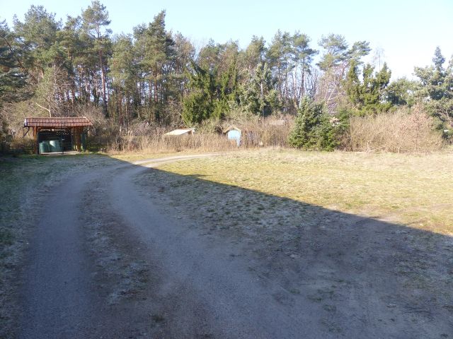 Verkaufsfläche und Umgebung - Unbebautes, teilweise mit Bäumen bewachsenes Grundstück (Grün- und Wegefläche) **etwa 10 km von der Cottbuser Ostsee entfernt**