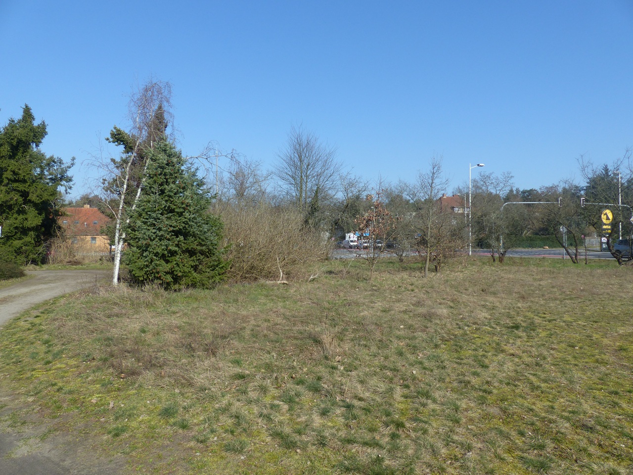 Unbebautes, teilweise mit Bäumen bewachsenes Grundstück (Grün- und Wegefläche) **etwa 10 km von der Cottbuser Ostsee entfernt**