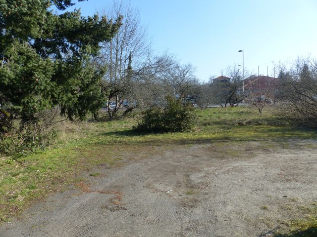 Verkaufsfläche und Umgebung - Unbebautes, teilweise mit Bäumen bewachsenes Grundstück (Grün- und Wegefläche) **etwa 10 km von der Cottbuser Ostsee entfernt**