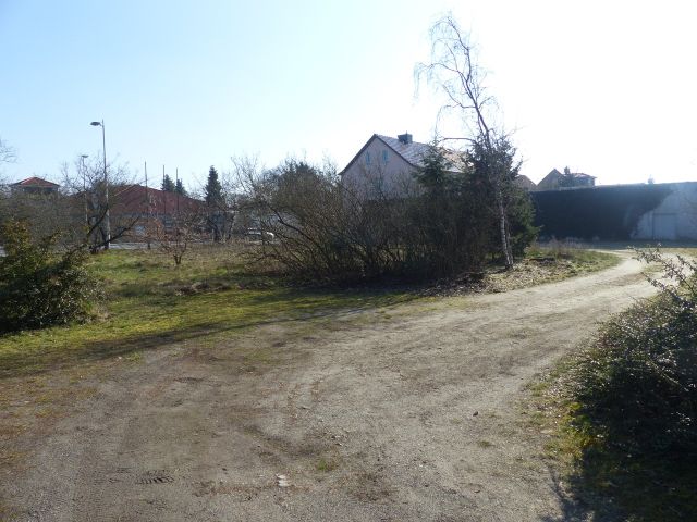 Blick auf die Verkaufsfläche und die Umgebung - Unbebautes, teilweise mit Bäumen bewachsenes Grundstück (Grün- und Wegefläche) **etwa 10 km von der Cottbuser Ostsee entfernt**