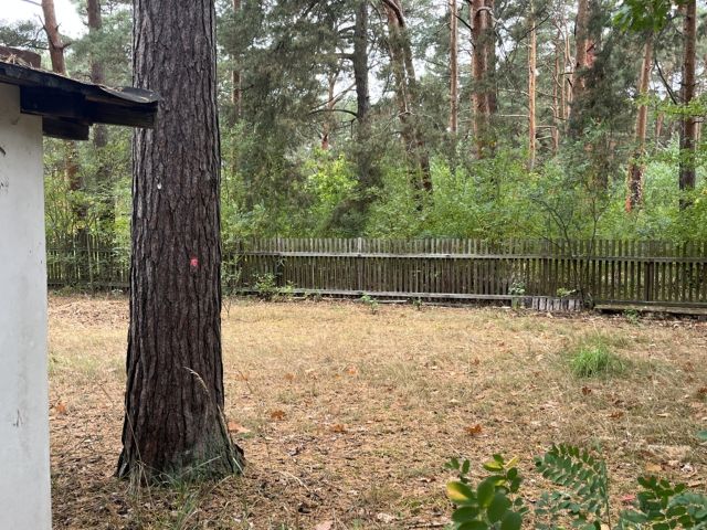 Blick auf das Grundstück - Vertragsfreie Waldfläche mit ehemaliger Gartenlaube in Baruth/Mark **etwa 40 km südlich von Berlin entfernt**