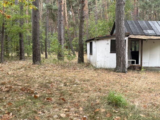 Blick auf den Verkaufsgegenstand - Vertragsfreie Waldfläche mit ehemaliger Gartenlaube in Baruth/Mark **etwa 40 km südlich von Berlin entfernt**