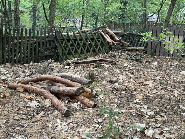 Totholz auf dem Grundstück - Vertragsfreie Waldfläche mit ehemaliger Gartenlaube in Baruth/Mark **etwa 40 km südlich von Berlin entfernt**
