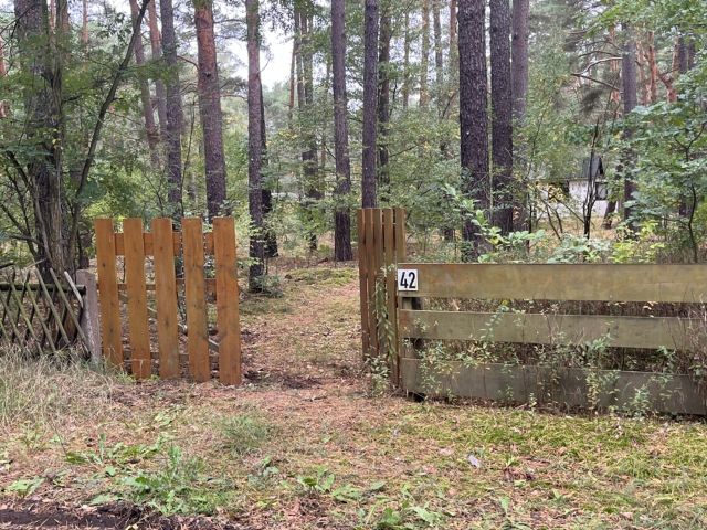 Zugang zum Grundstück - Vertragsfreie Waldfläche mit ehemaliger Gartenlaube in Baruth/Mark **etwa 40 km südlich von Berlin entfernt**
