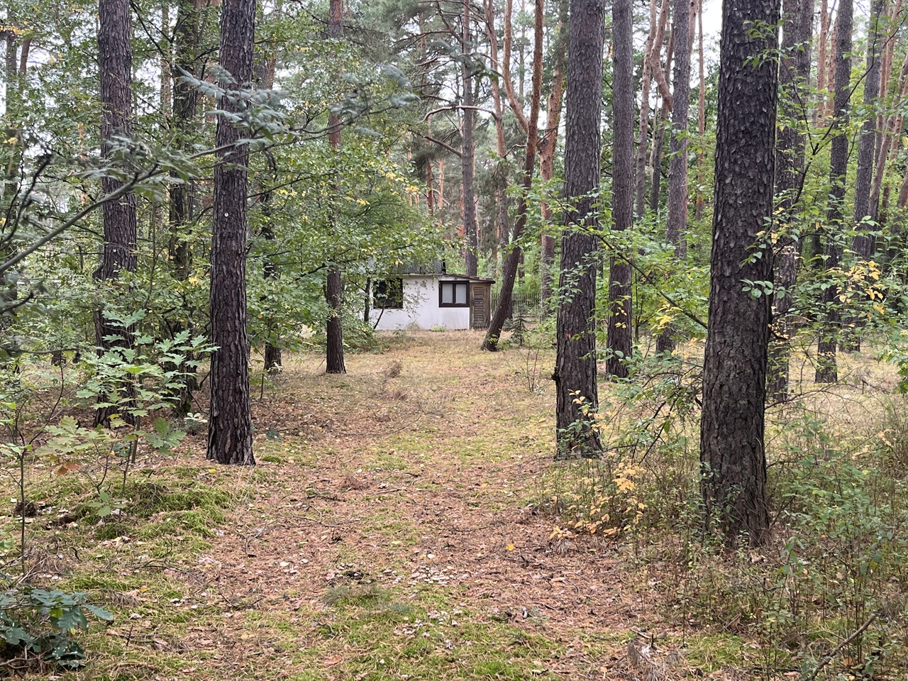 Vertragsfreie Waldfläche mit ehemaliger Gartenlaube in Baruth/Mark **etwa 40 km südlich von Berlin entfernt**
