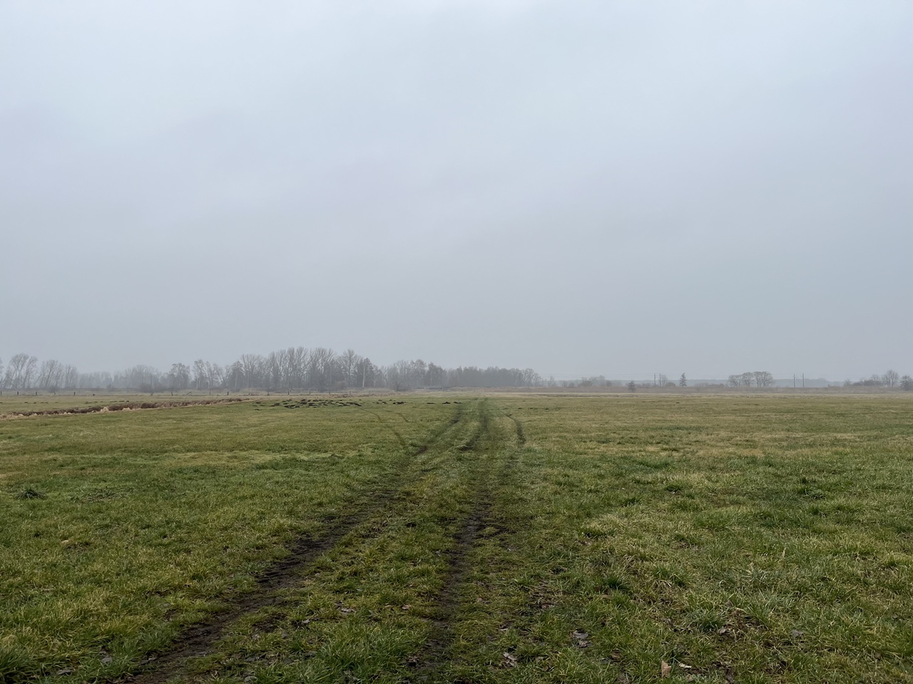 Landwirtschafts-/ Grünlandfläche in der Kurstadt Bad Liebenwerda **zwischen Leipzig und Cottbus**