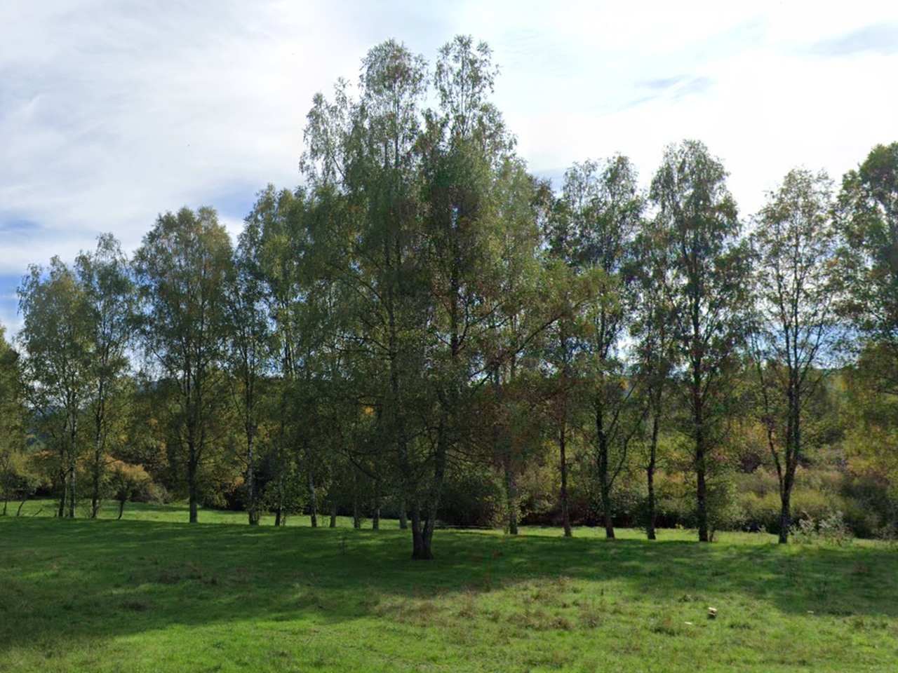 Vertragsfreie Waldfläche südlich des ´Saarbaches´ **im Pfälzerwald - etwa 7 km von der französischen Grenze entfernt**