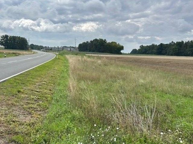 Verkaufsfläche und Umgebung - Grünfläche/ Straßenrandbegleitfläche in der Metropolregion Nürnberg **teilweise vertragslose Nutzung**