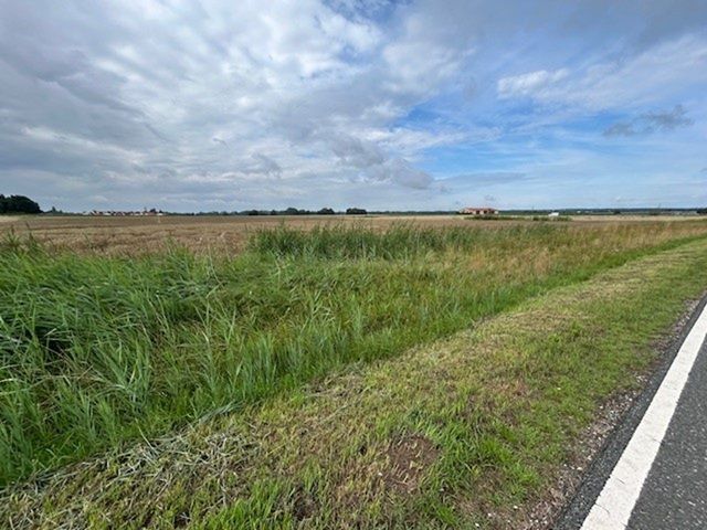 Blick auf die Verkaufsfläche und die Umgebung - Grünfläche/ Straßenrandbegleitfläche in der Metropolregion Nürnberg **teilweise vertragslose Nutzung**