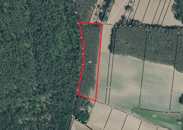 Lageskizze mit Luftbildunterlegung - Über 1,2 Hektar vertragsfreie Waldfläche (mit etwa 60-jährigen Kiefern) **nahe dem Stettiner Haff und dem Grambiner Strand**