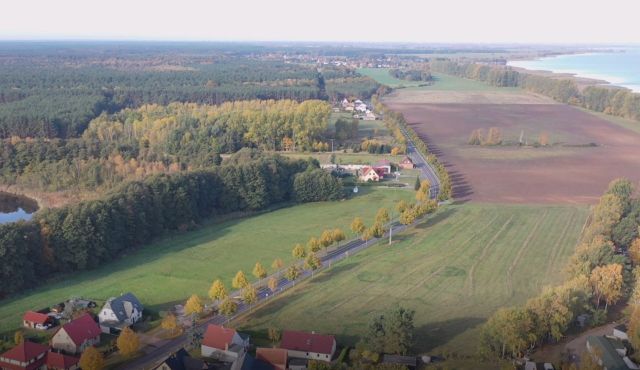 Blick in die Umgebung - Über 1,2 Hektar vertragsfreie Waldfläche (mit etwa 60-jährigen Kiefern) **nahe dem Stettiner Haff und dem Grambiner Strand**