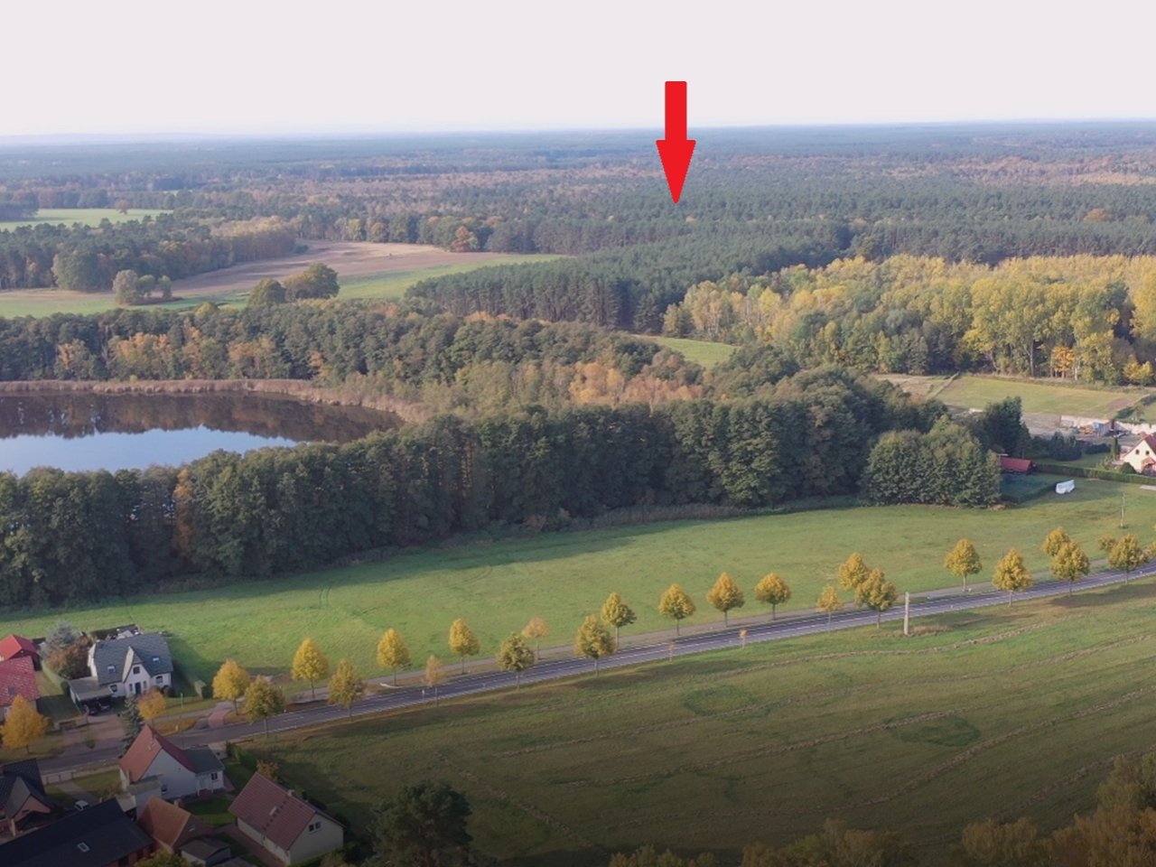 Über 1,2 Hektar vertragsfreie Waldfläche (mit etwa 60-jährigen Kiefern) **nahe dem Stettiner Haff und dem Grambiner Strand**