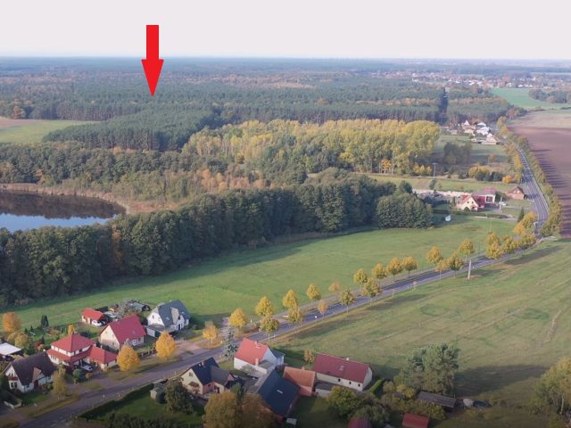 Lage Verkaufsfläche und Umgebung - Über 1,2 Hektar vertragsfreie Waldfläche (mit etwa 60-jährigen Kiefern) **nahe dem Stettiner Haff und dem Grambiner Strand**