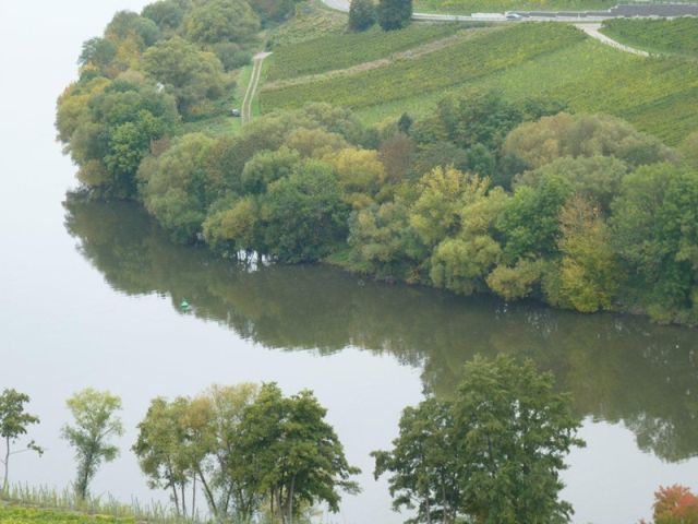 Blick auf die Verkaufsfläche und Umgebung - Ufergrundstück an der Moselschleife nordöstlich von Trier