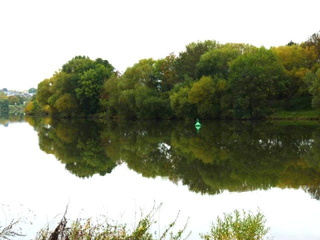 Blick auf die Verkaufsfläche und die Umgebung - Ufergrundstück an der Moselschleife nordöstlich von Trier