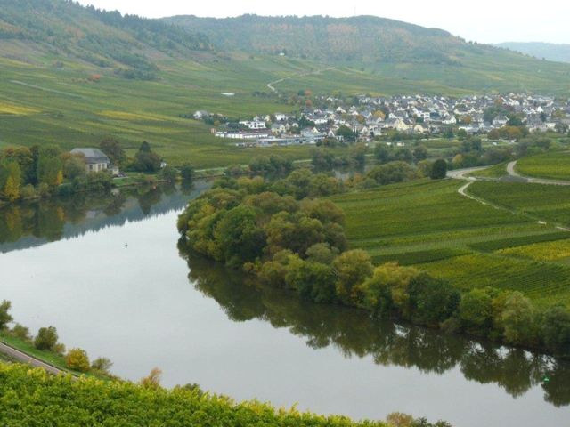 Blick Richtung Verkaufsfläche und Umgebung - Ufergrundstück an der Moselschleife nordöstlich von Trier