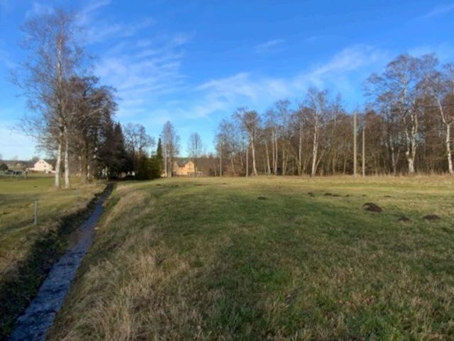 Blick auf Verkaufsfläche mit dem 