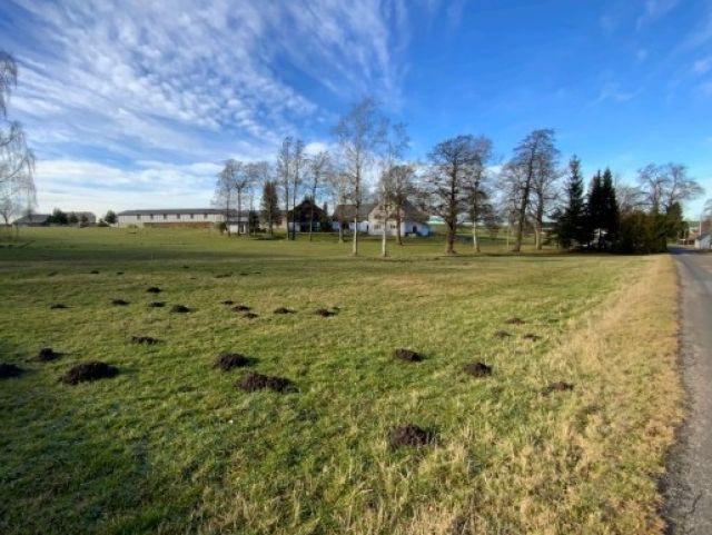 Blick auf Verkaufsfläche und Umgebung - Verpachtete Grünfläche zwischen Wohnbebauungen in Mittelsachsen * Jahrespacht 1.440 € *