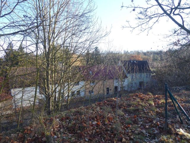 Blick auf die Talbachstraße vom Grundstück aus - Teilweise vermietetes Mehrfamilienhaus mit Anbauten und Nebengelass in Mansfeld ** Jahresnettomiete ca. € 10.366 **