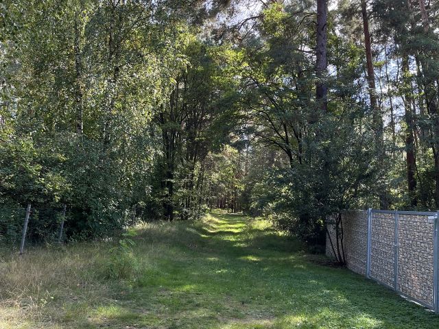 Weg `An der Wildbahn` - Vertragsfreie Waldfläche nahe Wohnbebauung in Borkheide **etwa 10 km vom Berliner Ring entfernt**