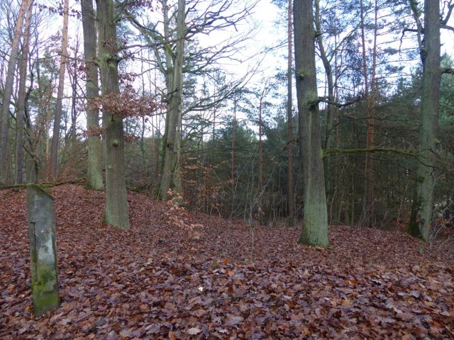 Lage Flurstück 112/1 und Umgebung - Vertragsfreie Waldflächen mit über 8.600 m² im Waldgebiet Bieselheide **direkt an der Berliner Stadtgrenze**