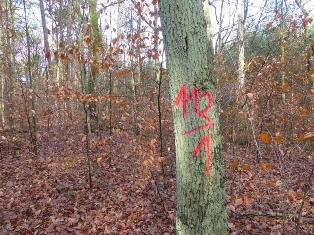 Lage Flurstück 112/1 und Umgebung - Vertragsfreie Waldflächen mit über 8.600 m² im Waldgebiet Bieselheide **direkt an der Berliner Stadtgrenze**