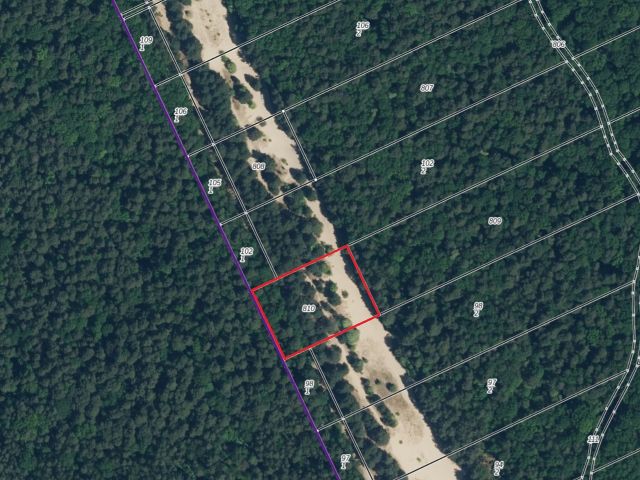 Lageskizze mit Luftbildunterlegung - Vertragsfreie Waldfläche im Waldgebiet Bieselheide **direkt an der Berliner Stadtgrenze**