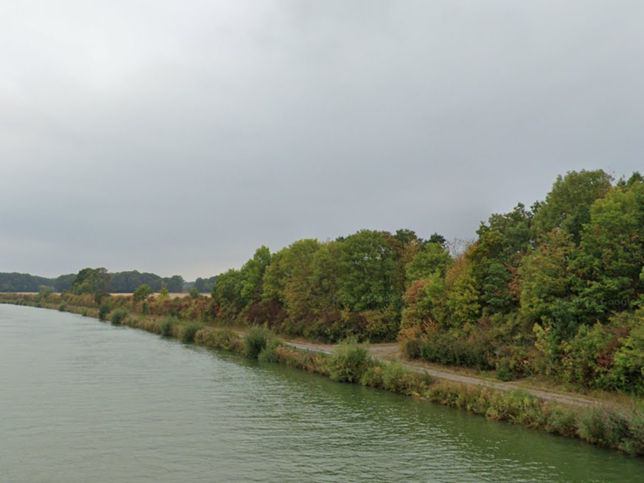Drei vertragsfreie Gehölzflächen am Mittellandkanal 