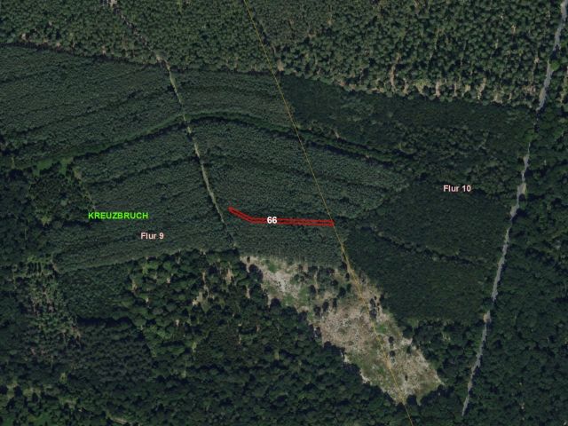 Lageskizze - Vertragsfreier Waldstreifen