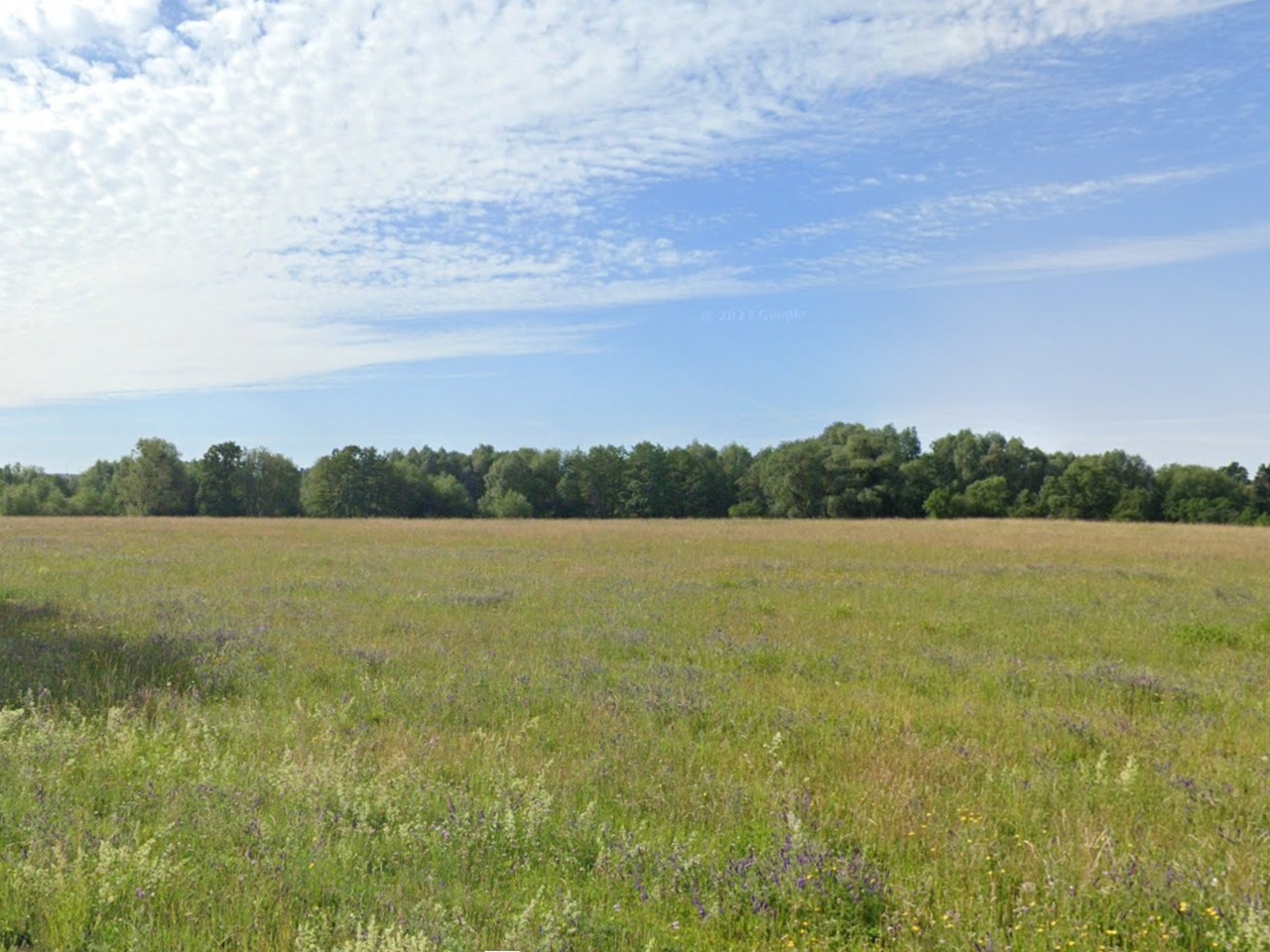 Vertragsfreier Wald am Erlebnispark ´Willes Welt´ **etwa 28 km vom Berliner Ring entfernt**