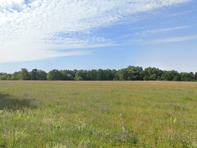 Blick von der Straße am Gewerbering Richtung Verkaufsfläche und Umgebung - Vertragsfreier Wald am Erlebnispark ´Willes Welt´ **etwa 28 km vom Berliner Ring entfernt**