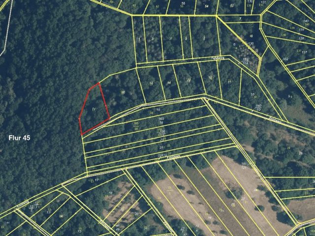 Lageskizze - Waldfläche im höchstgelegenen Weinbauort im Rheingau