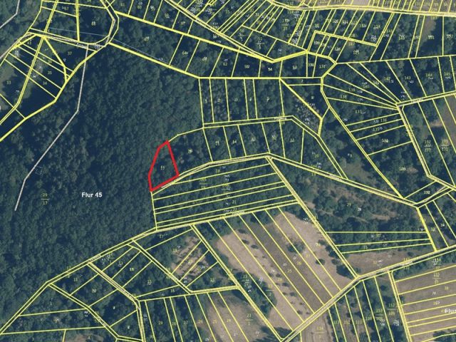 Umgebungsskizze - Waldfläche im höchstgelegenen Weinbauort im Rheingau