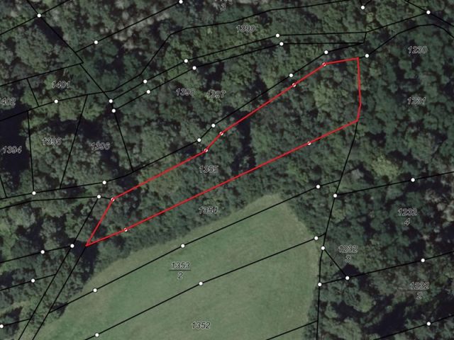 Lageskizze - Waldfläche in Hochstätten, das ´Tor zur Nordpfalz´