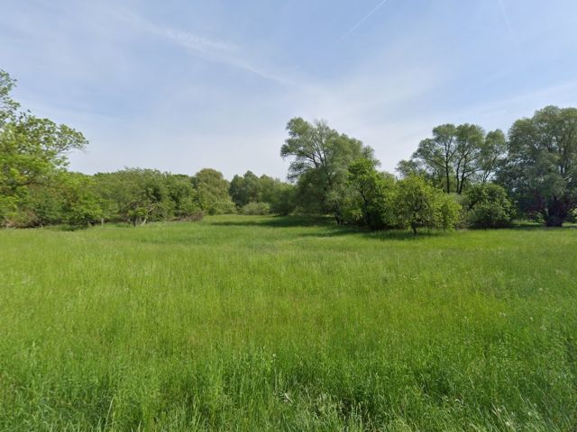Blick vom Kommunikationsweg Richtung Verkaufsobjekt und Umgebung - Wald- und Wiesenflächen - teilweise vertragslos genutzt **nahe dem Waschbanksee, etwa 27 km vom Berliner Ring entfernt**