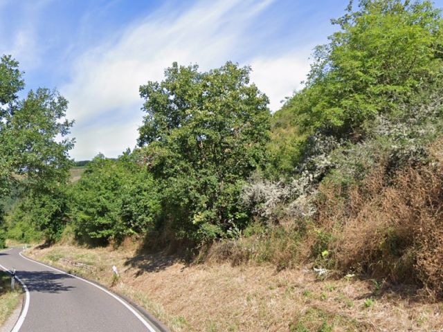 Blick Richtung Verkaufsfläche und auf die Umgebung - Naturbelassene Fläche in Hanglage unterhalb von Wohnbebauungen
