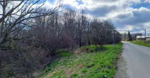 Lage des Verkaufsgegenstandes - Ruinöse ehemalige Hofstelle **vertragsfrei**