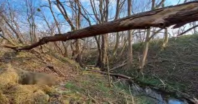 Blick auf den Nonnenbach - Ruinöse ehemalige Hofstelle **vertragsfrei**