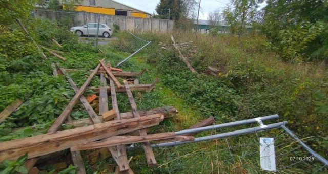 Blick auf den Verkaufsgegenstand - aktueller Zustand (Aufnahme 07.10.25) - Ruinöse ehemalige Hofstelle **vertragsfrei**