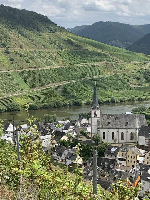 Blick Richtung Verkaufsfläche und auf die Umgebung - Vertragsfreier Weinberg mit der Rebsorte „Riesling“ in altem Weinort oberhalb der Mosel