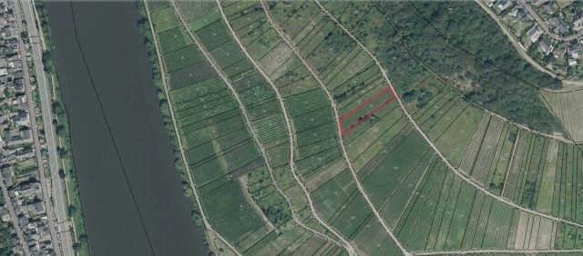 Umgebungsskizze - Vertragsfreier Weinberg mit der Rebsorte „Riesling“ in altem Weinort oberhalb der Mosel