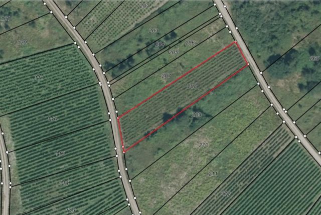 Lageskizze - Vertragsfreier Weinberg mit der Rebsorte „Riesling“ in altem Weinort oberhalb der Mosel