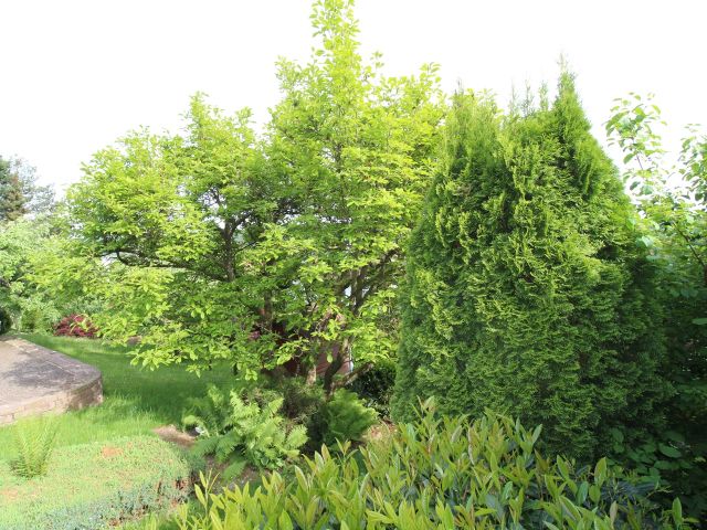 Blick auf die Verkaufsfläche - Vertragslos genutzter Garten hinter einem Wohnhaus in der Barbarossastadt Gelnhausen *nahe Frankfurt/Main*