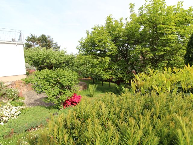 Blick auf die Verkaufsfläche und Umgebung - Vertragslos genutzter Garten hinter einem Wohnhaus in der Barbarossastadt Gelnhausen *nahe Frankfurt/Main*