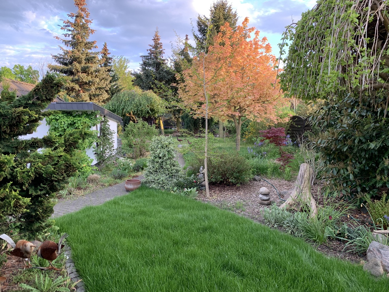 Vertragslos genutzter Garten hinter einem Wohnhaus in der Barbarossastadt Gelnhausen *nahe Frankfurt/Main*