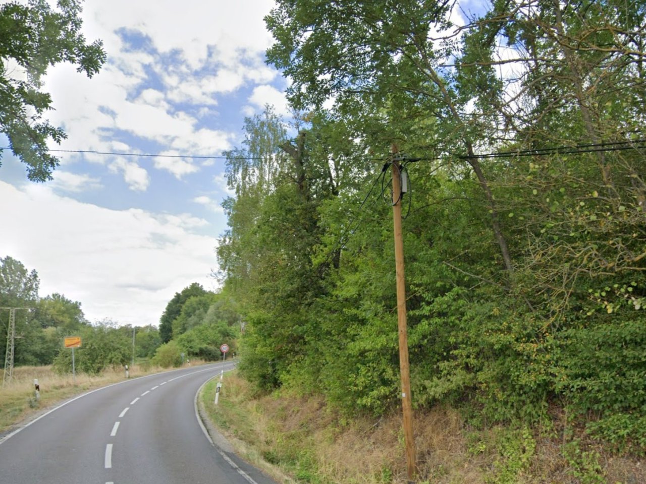 Waldfläche mit Teilen eines Erdkellers