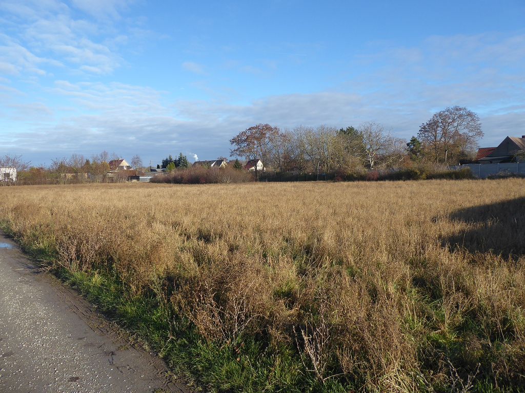 Vertragsfreies großes Grundstück im Randbereich eines Wohngebietes zwischen Magdeburg und Halle (Saale)