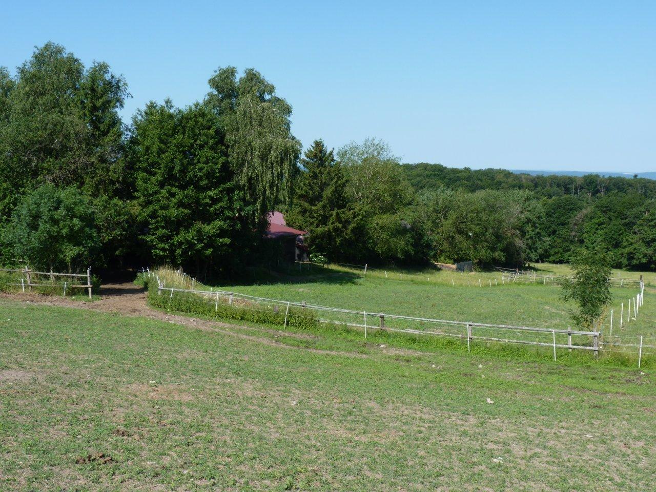 Ein als Weide-/Auslauffläche vertragslos genutztes Grundstück im Taunus