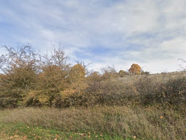 Vertragsfreie Grünfläche teilweise mit Bestockung in Hildburghausen