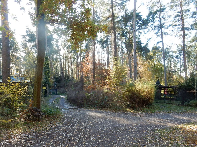 Grundstück mit ruinösen Gebäuderesten im Naherholungsgebiet Plötzky am Königssee ++ lt. FNP Sondergebiet Wochenendhäuser